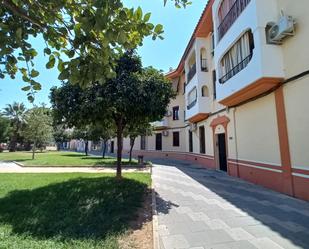 Exterior view of Flat for sale in Palma del Río  with Air Conditioner, Terrace and Balcony