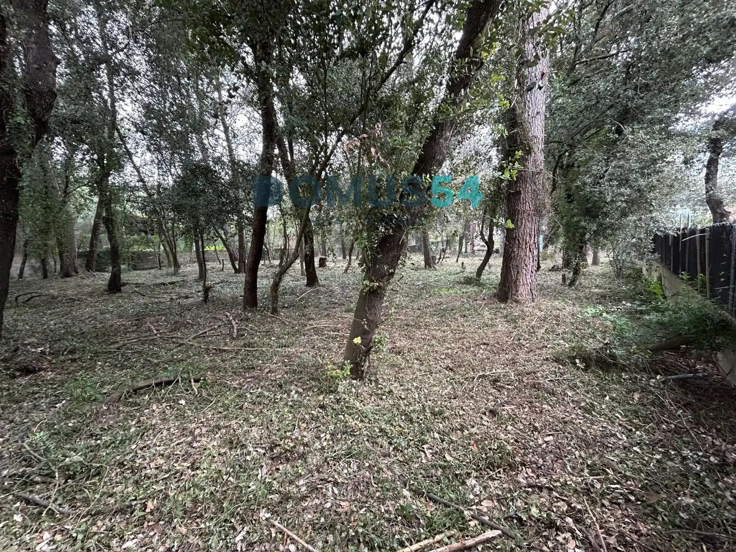Rural land for sale in Sa Pobla