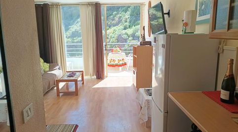 Foto 4 de Estudio en venta en Zona Botánico, Puerto de la Cruz
