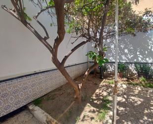 Jardí de Casa o xalet en venda en El Ejido amb Jardí privat, Traster i Alarma