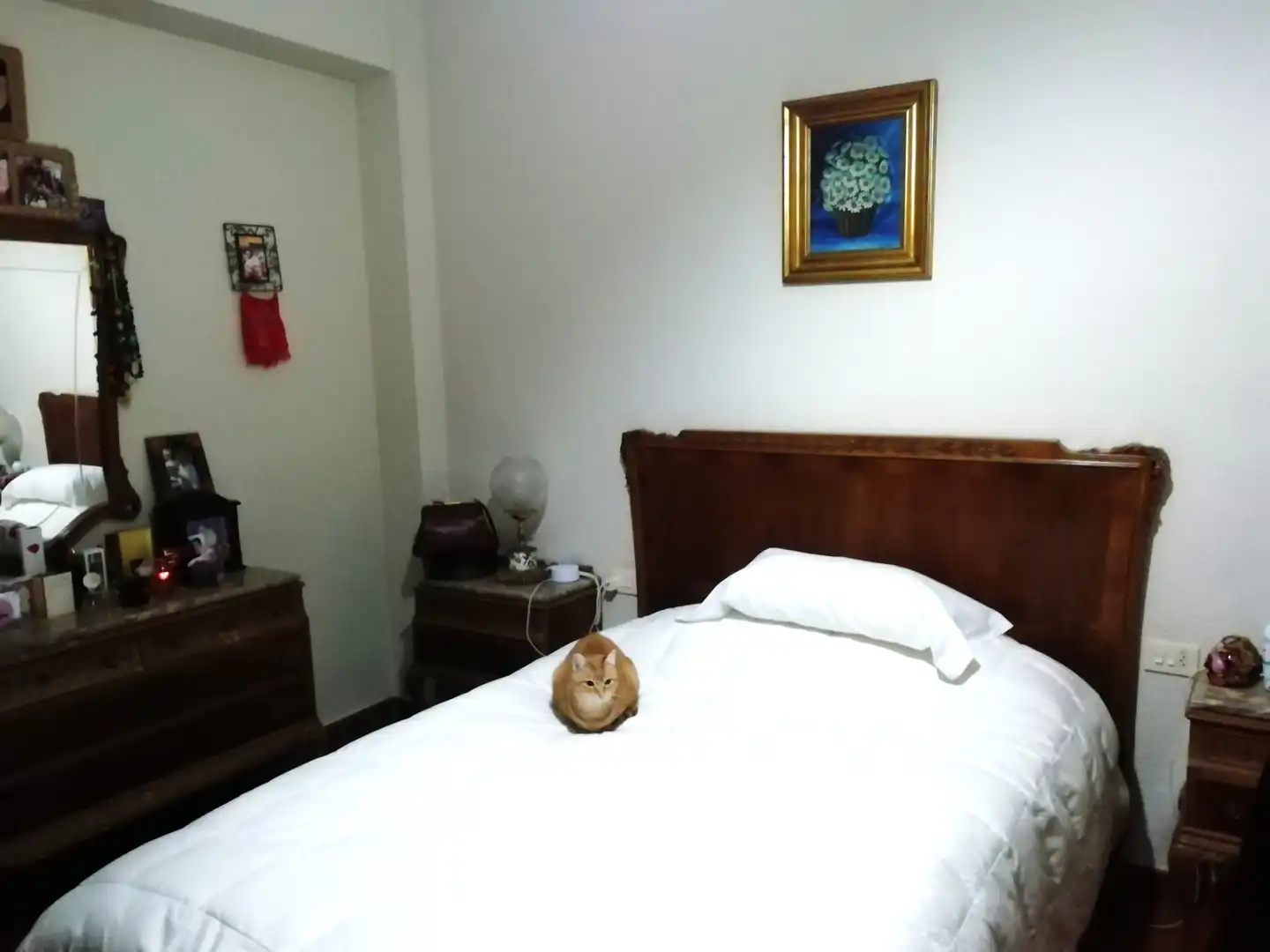 Rez-de-chaussée à vendre à Carrer del Sequial, imagen 13