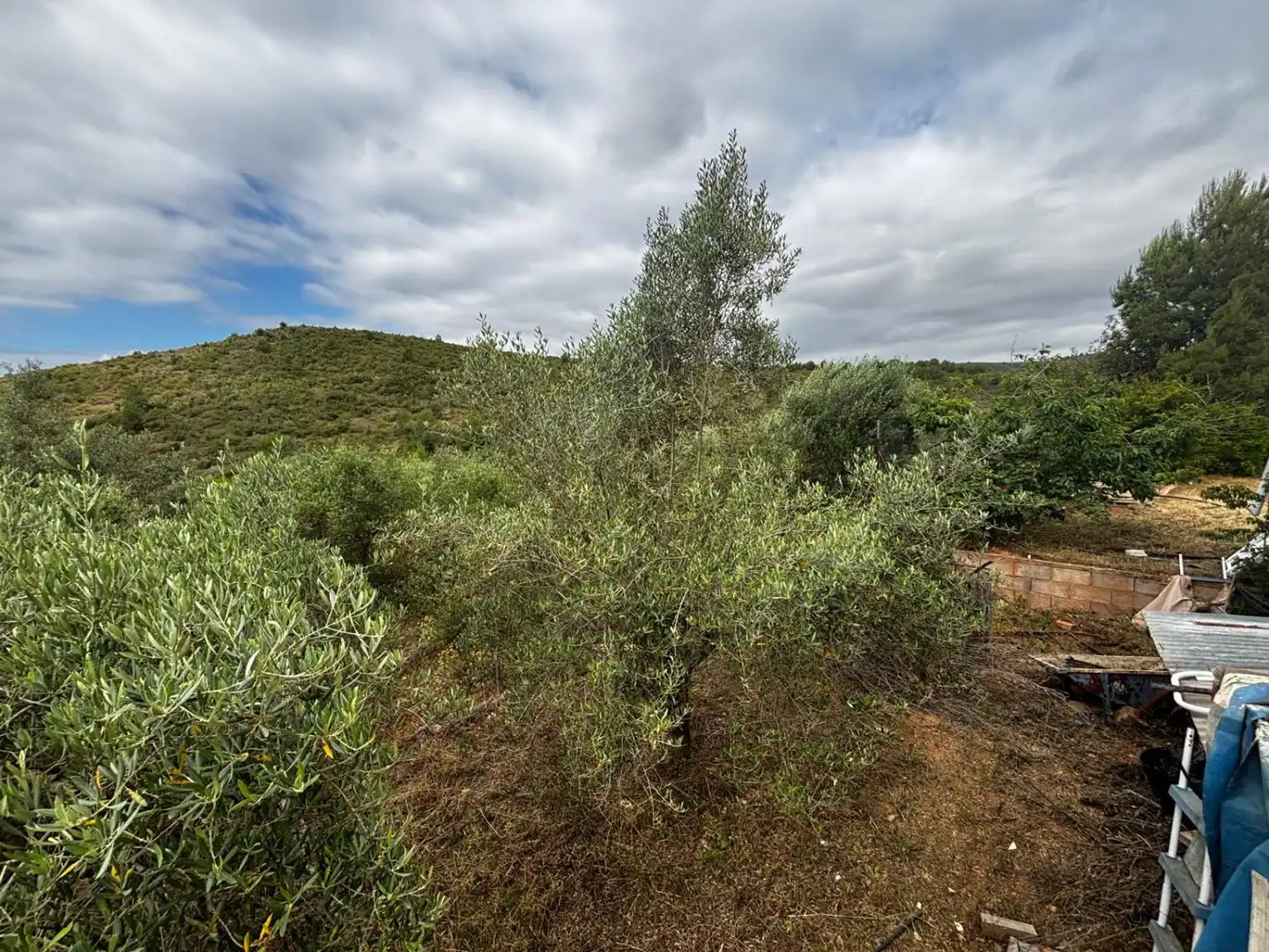 Casa o xalet en venda en Azuébar amb Terrassa