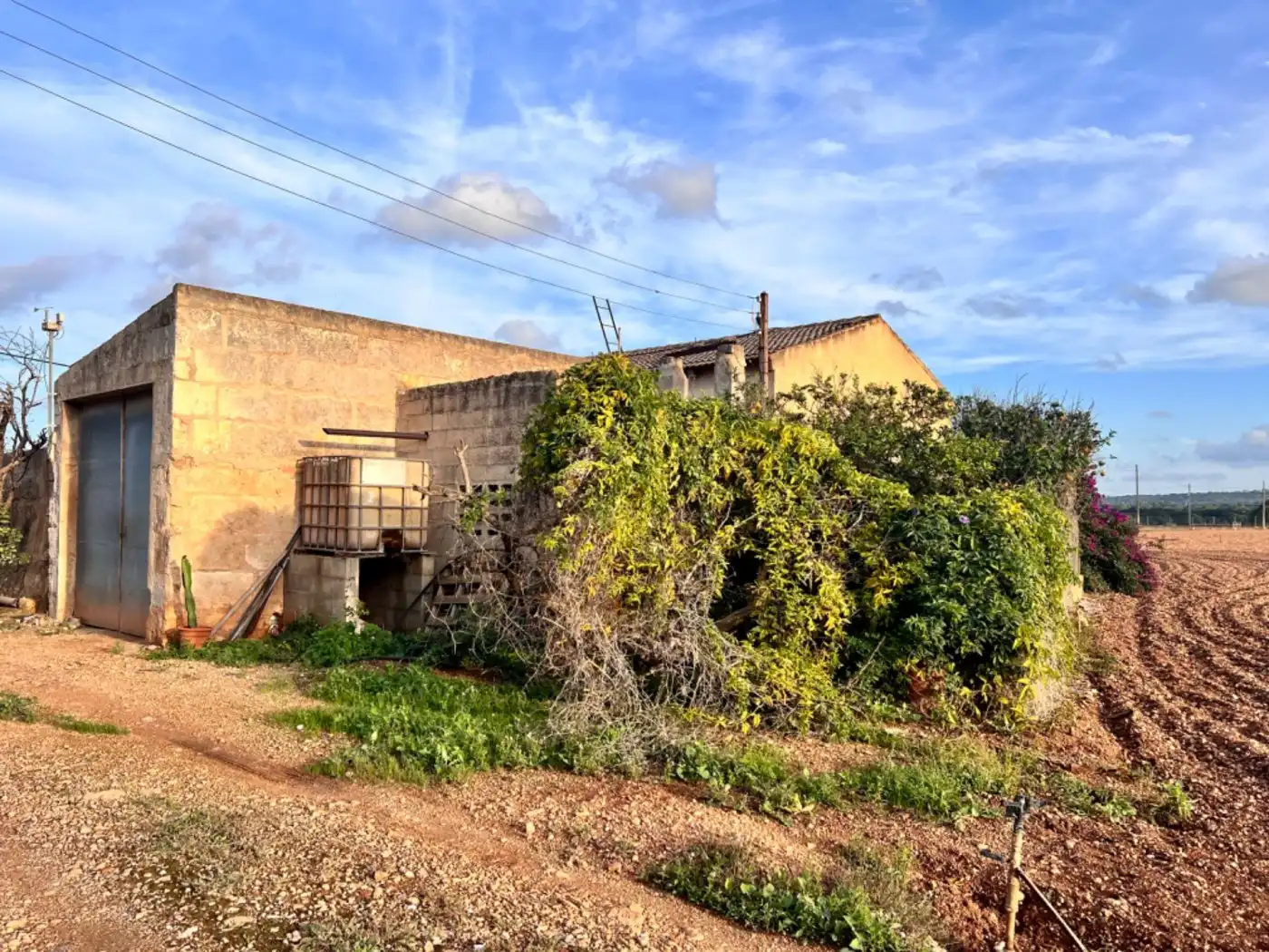 Casa rústica en venta en Llubí, imagen 5