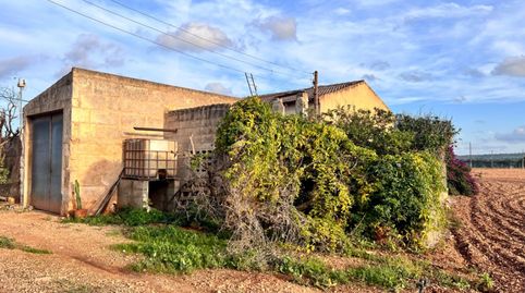 Finca en Llubi, imatge 5