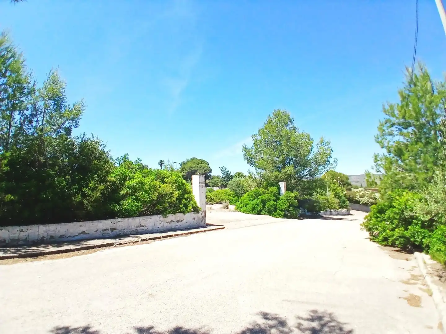 Terreny residencial en venda a Alberic, imagen 3
