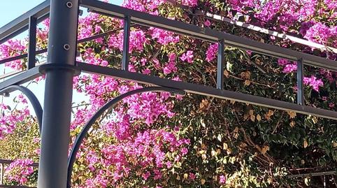 Foto 2 de Casa o xalet en venda a Petrer, Alicante