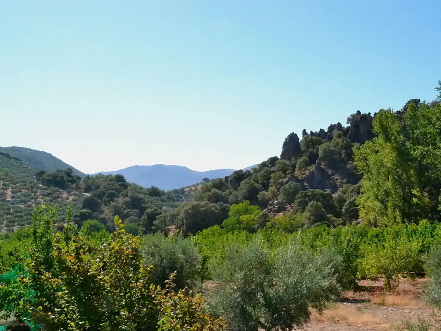 Country house zum Verkauf in Valdepeñas de Jaén mit Schwimmbad
