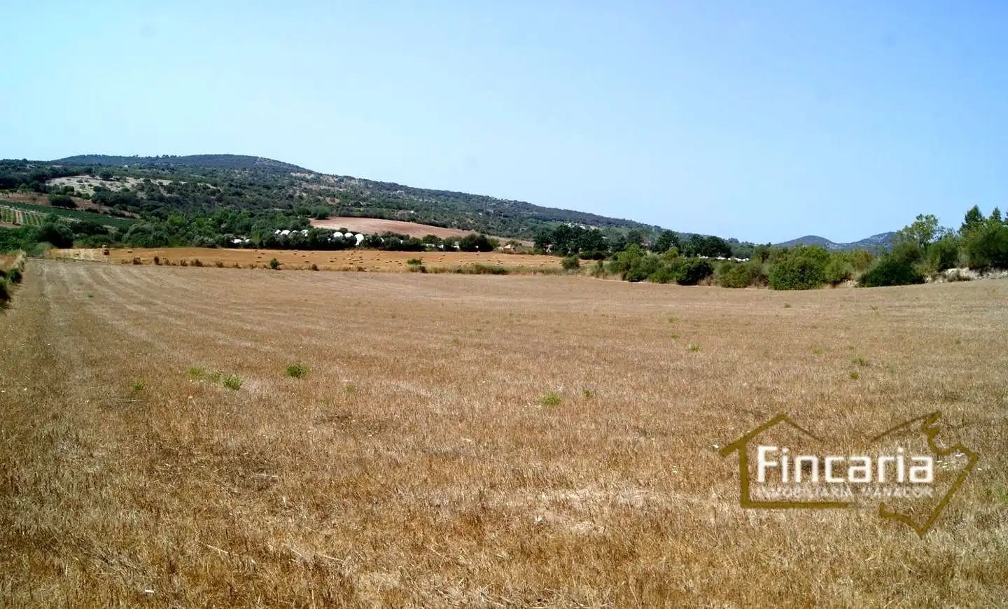 Terrenys i solars en venda a Camí de sa Murtera, imagen 12