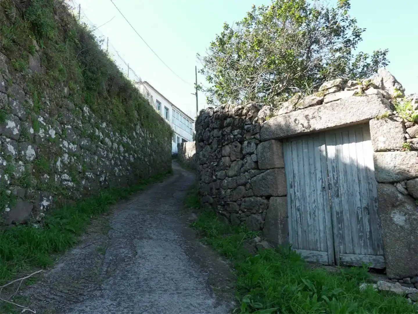 Exterior view of Flat for sale in Ferrol