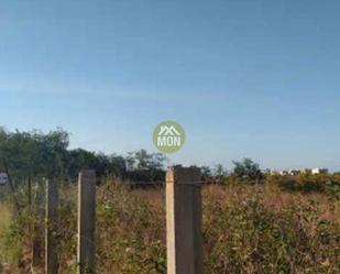 Land for sale in Gandia