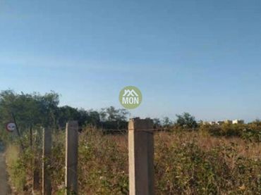 Terreno rustico in vendita a Playa de Gandia