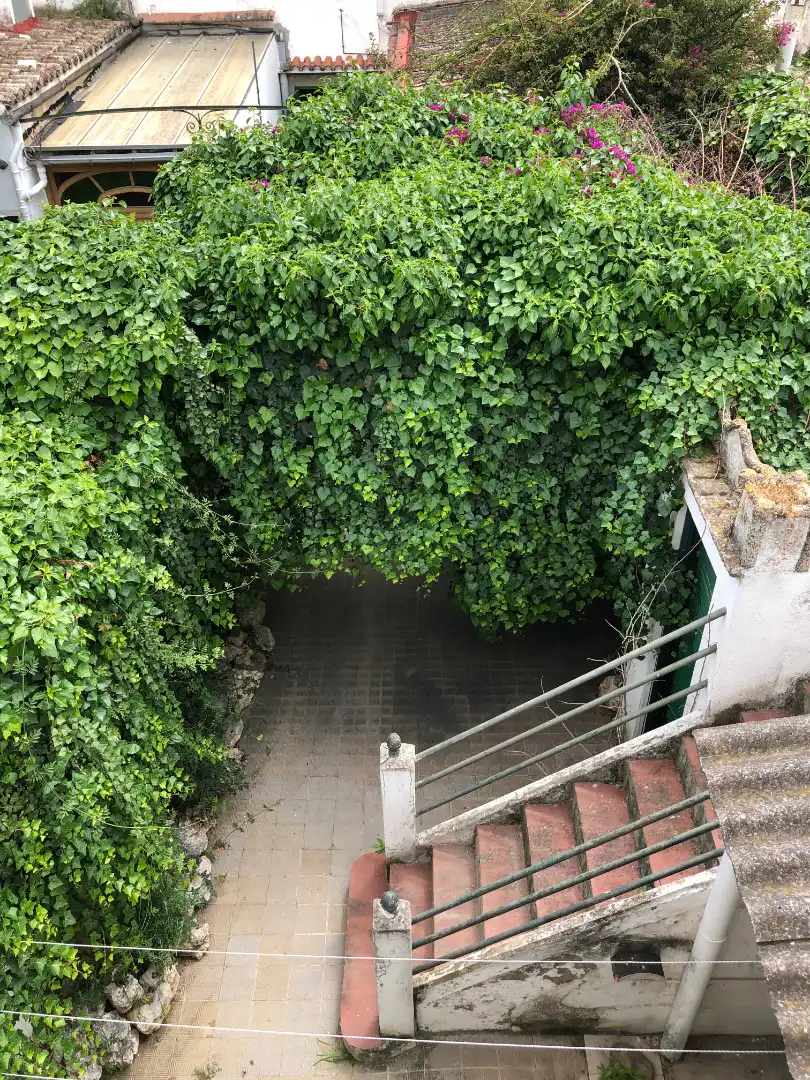 Jardín de Finca rústica en venta en Vilassar de Mar con Calefacción, Jardín privado y Terraza