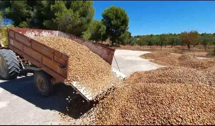 Vista exterior de Finca rústica en venta en Yecla con Jardín privado