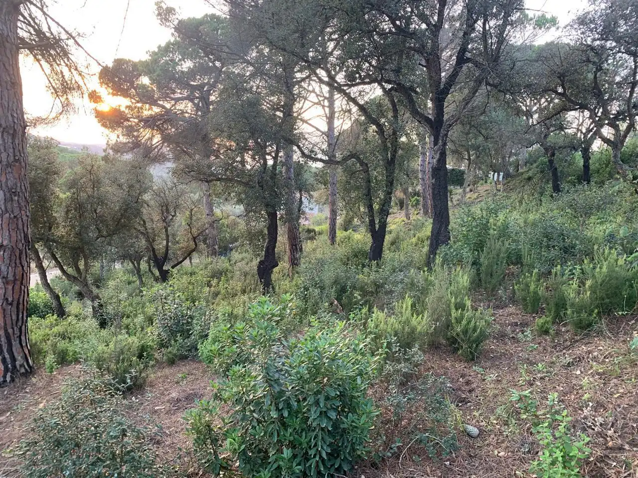 Grundstücke und Bauplätze zum Verkauf in Lloret Residencial - Montlloret, imagen 13