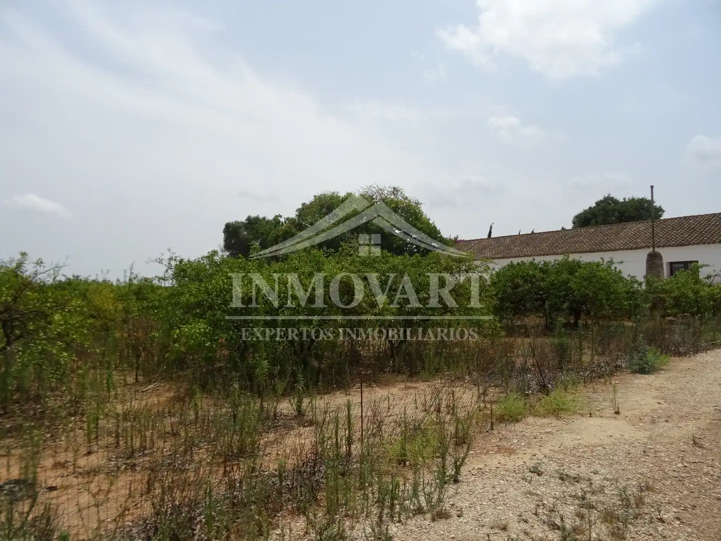 Terreno en venta en Algemesí