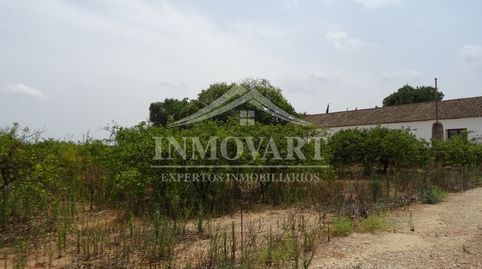 Image 5 de l'annonce