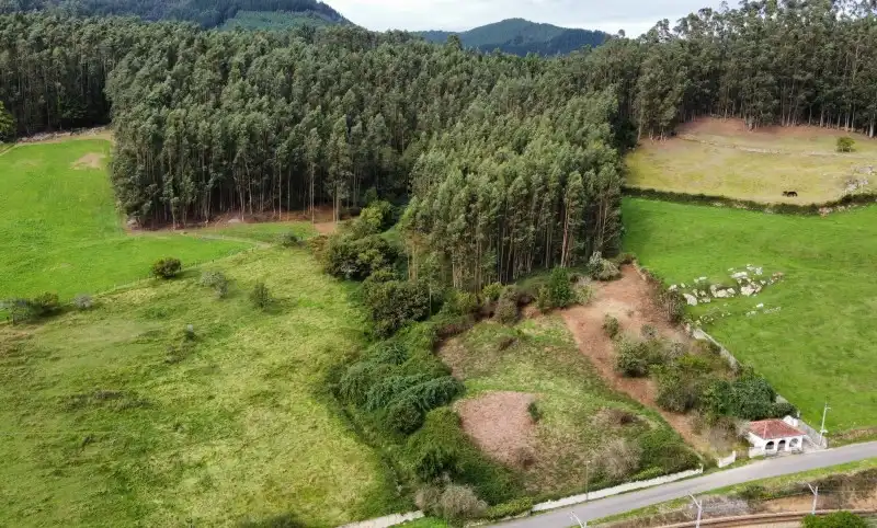 Terreni e lotti in vendita a Pravia