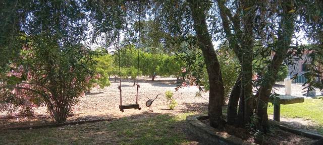 Terreno residencial en Venta en N/A, -1 en Vejer