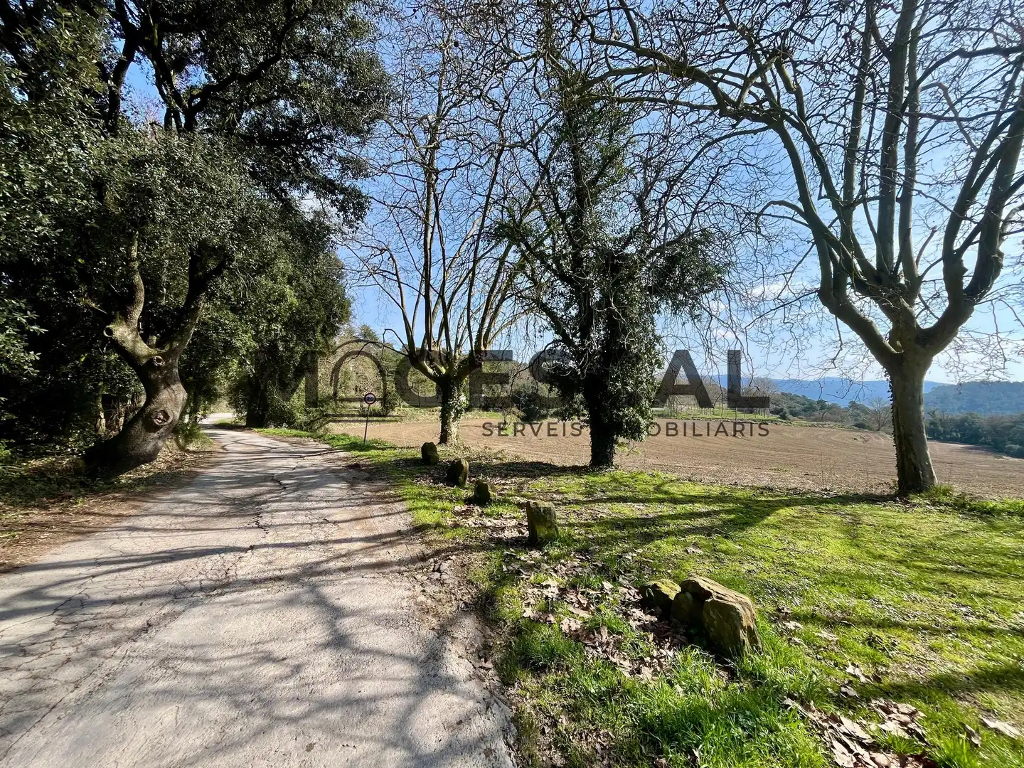 Terrenys i solars en venda a LLUIS BADO