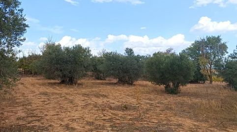Este terreno se encuentra en POLIGONO 507 - PARCELA 5090 EN TARANCON. Es un terreno que tiene 1595 m2 de los cuales 1595 m2 son út, immagine 3