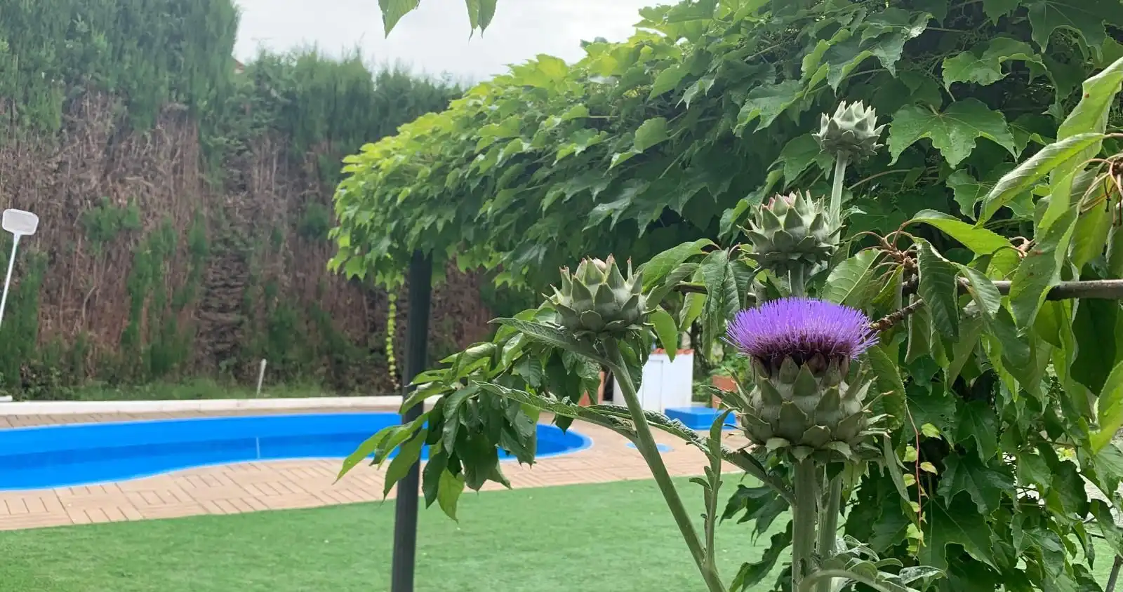 Jardín de Casa o chalet en venta en Siles con Aire acondicionado, Calefacción y Jardín privado