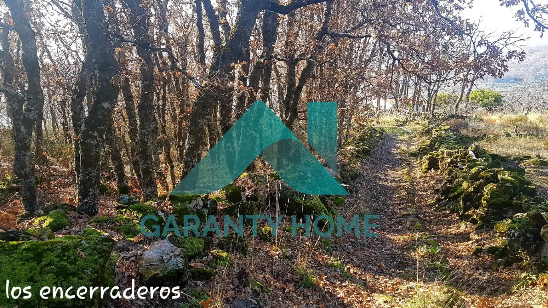 Finca rústica en venta en Aldeanueva de la Vera