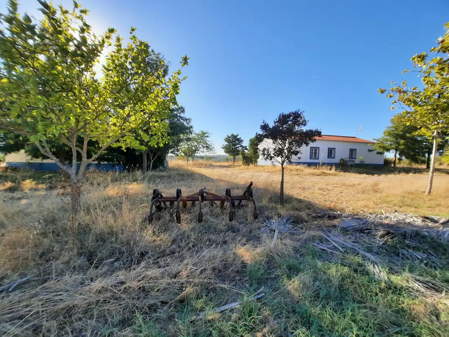 Terrain rustique à vendre à La Estación, imagen 28