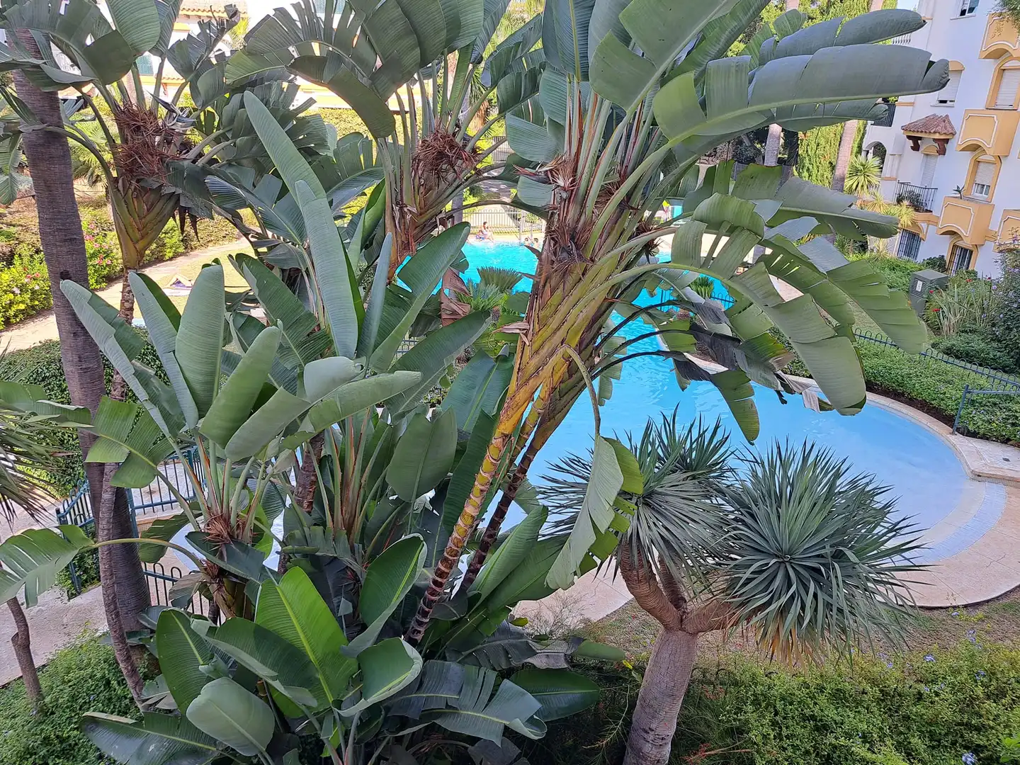 Wohnung zur Miete in Urbanización Los Naranjos de Marbella, 46, La Dama de Noche - La Alzambra