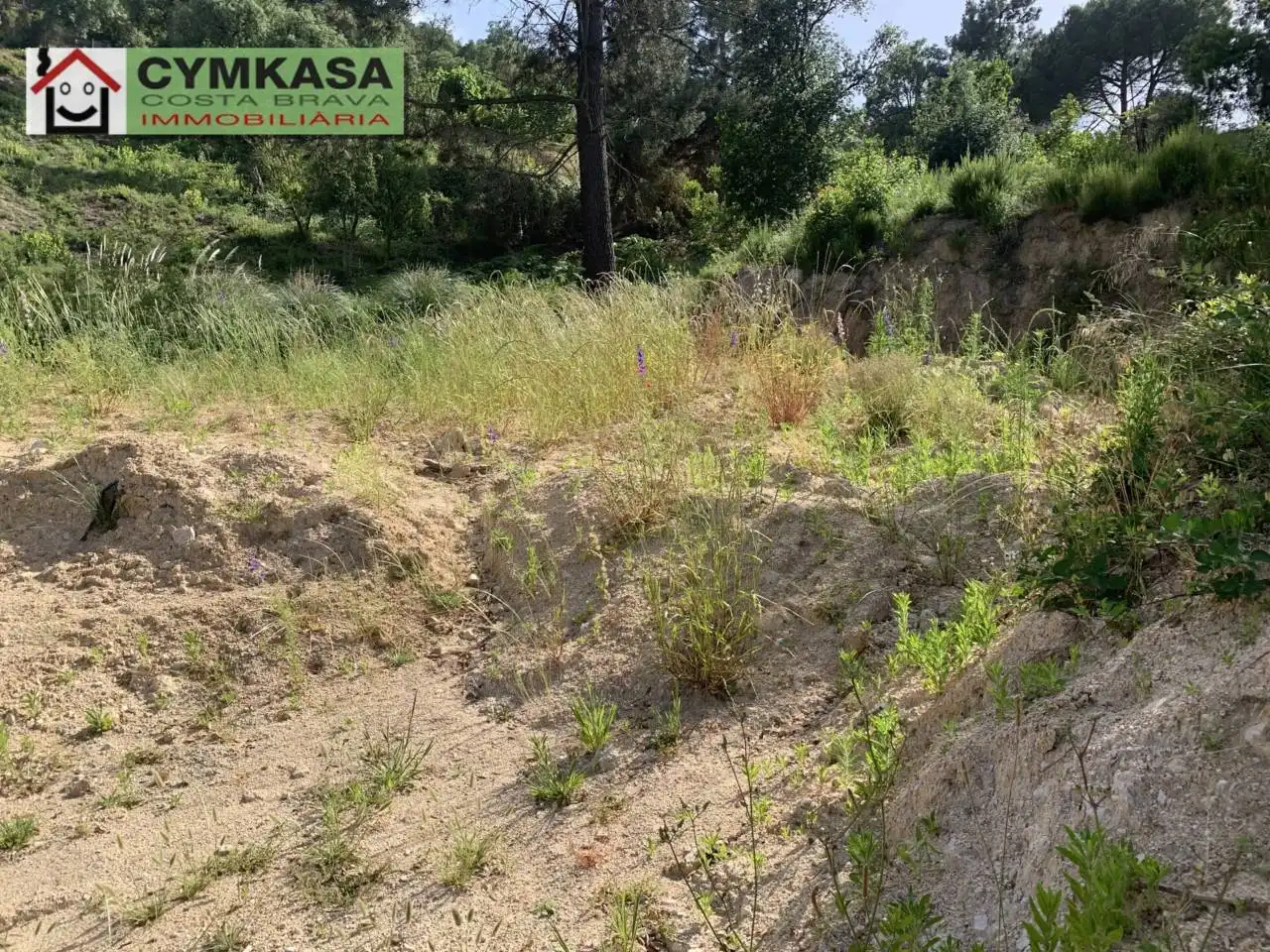 Terreno rustico in vendita a Montbarbat