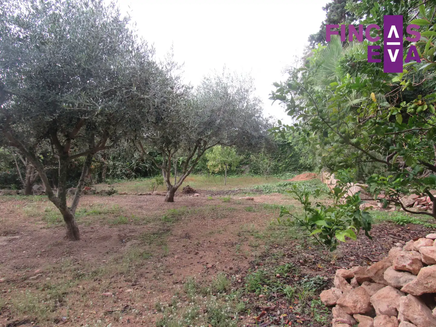 Residential land for sale in Tarragona - LLORITO, imagen 5