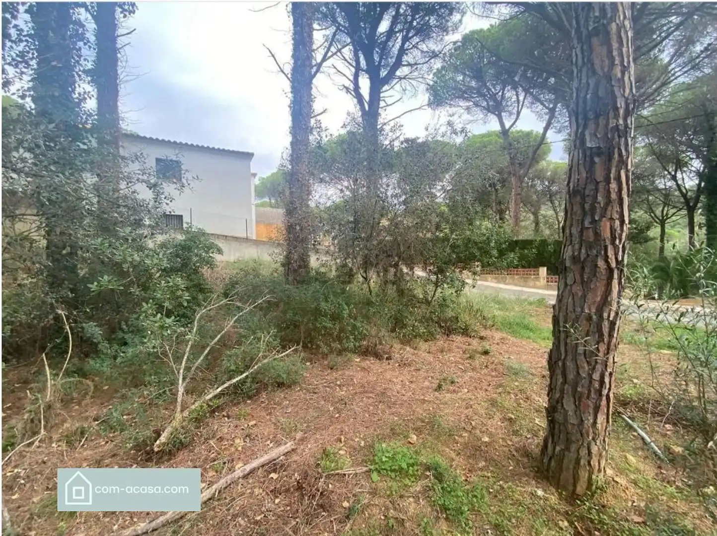 Casa o xalet en venda en Calonge i Sant Antoni amb Aire condicionat, Calefacció i Terrassa