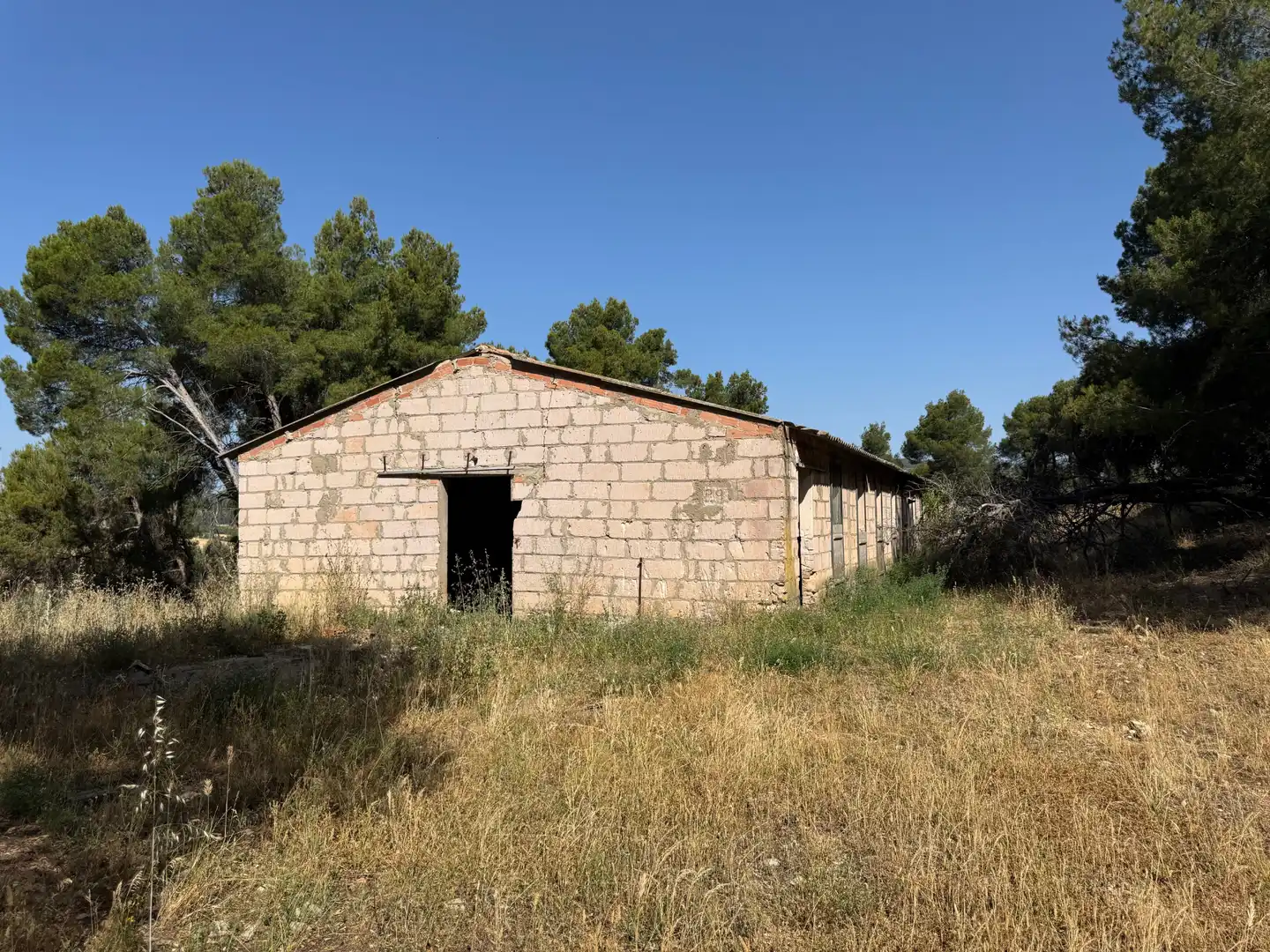 Vista exterior de Terreno en venta en Monroyo