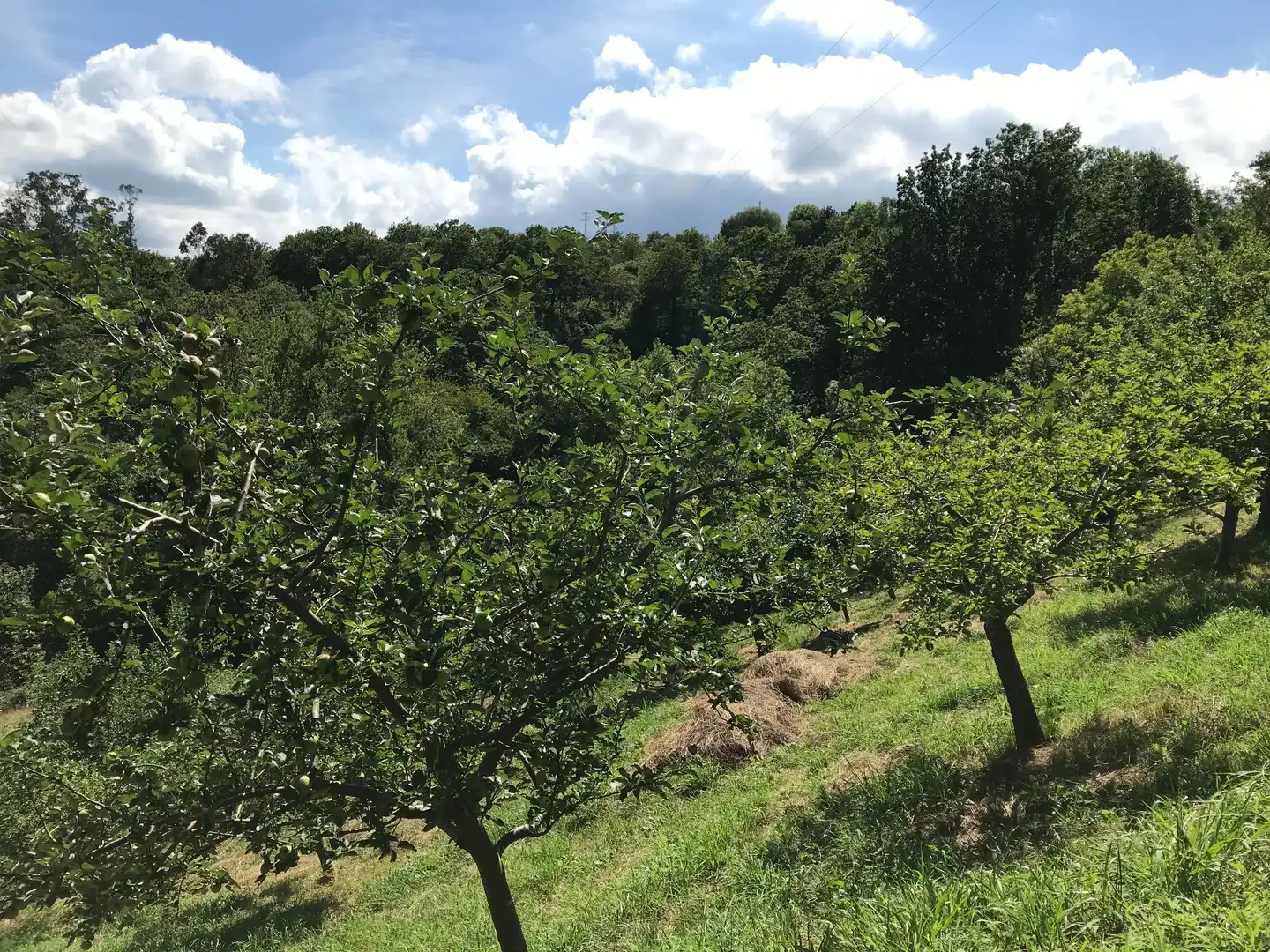 Terrenos y solares en venta en Cuadroveña, imagen 10