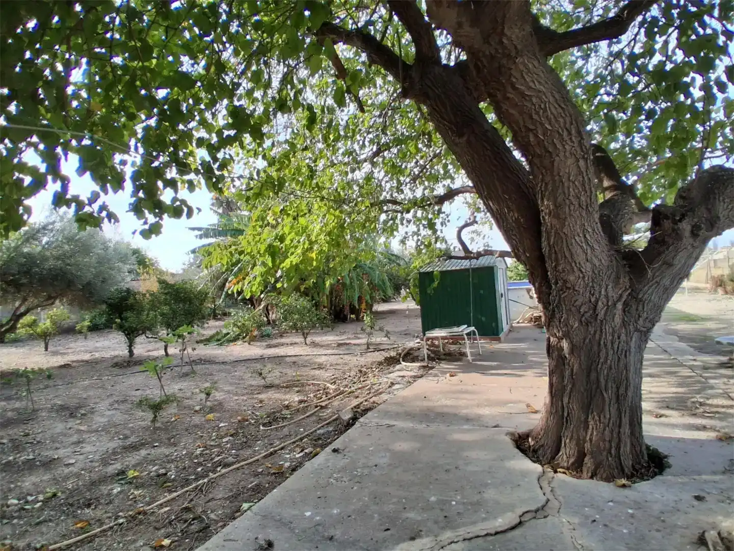 Finca rústica en venda en Sollana, Valencia