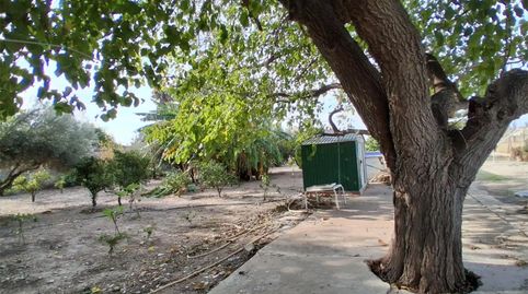 Foto 4 de Finca rústica en venda a Plaça Numero 28, 120, Sollana, Valencia