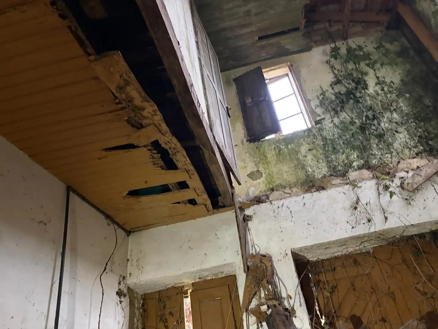 Casa o xalet en venda en Covelo amb Jardí privat