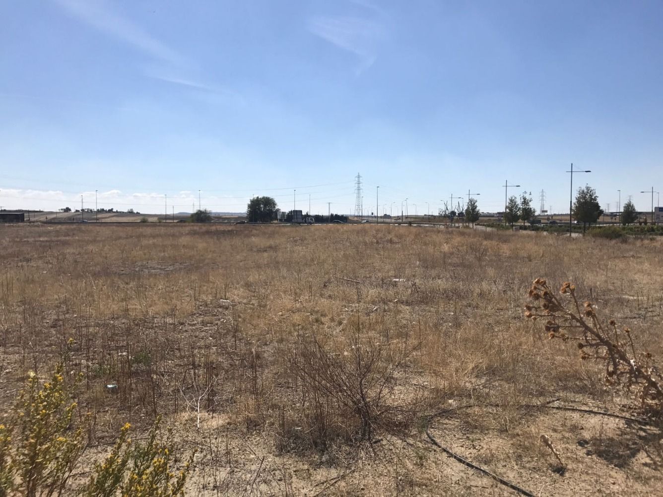 Terreny industrial en venda en Pinto