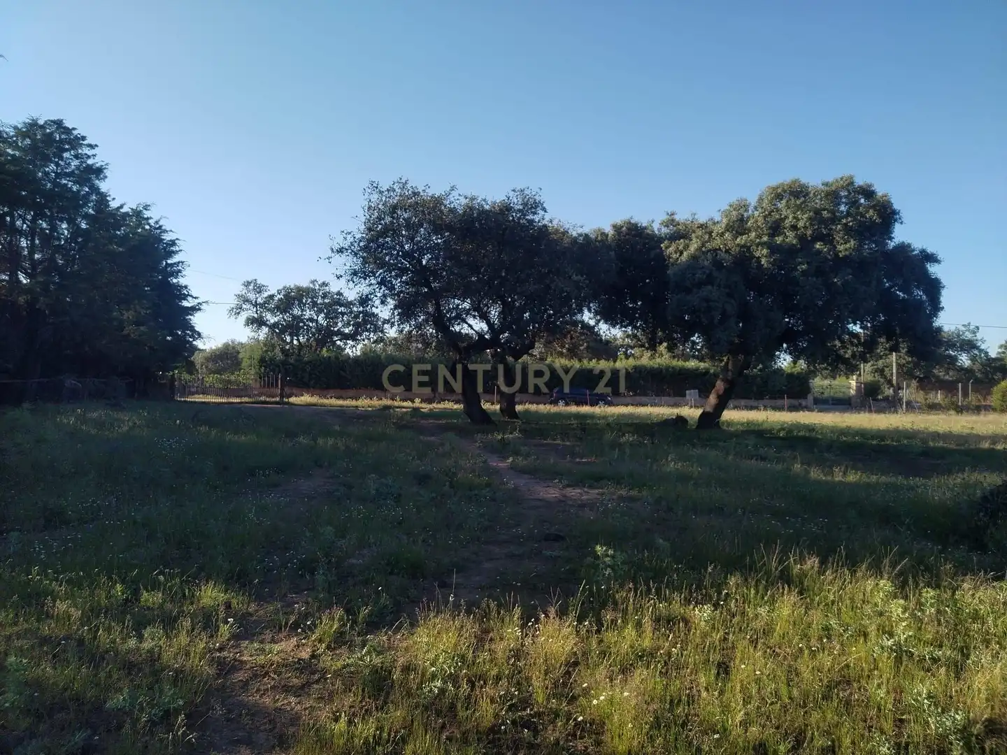 Terreni e lotti in vendita a Pasaje Monte del Casar, 52, 10190 Casar de Cáceres, Cáceres, Spain, imagen 5