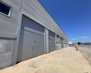 Exterior view of Industrial buildings for sale in Alquerías del Niño Perdido