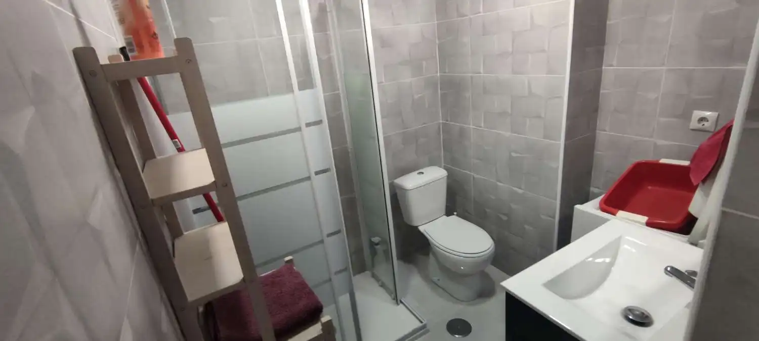 Bathroom of Study for rent in Torremolinos  with Furnished and Pets allowed