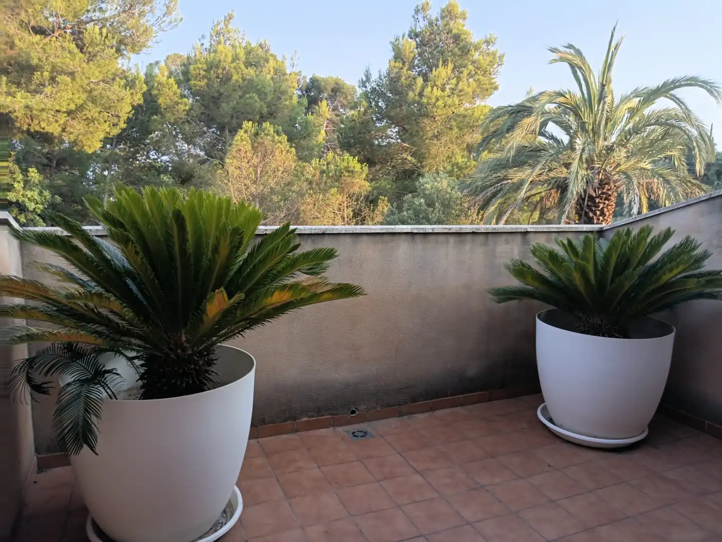 Terrassa de Casa adosada en venda en Cambrils amb Aire condicionat, Calefacció i Jardí privat