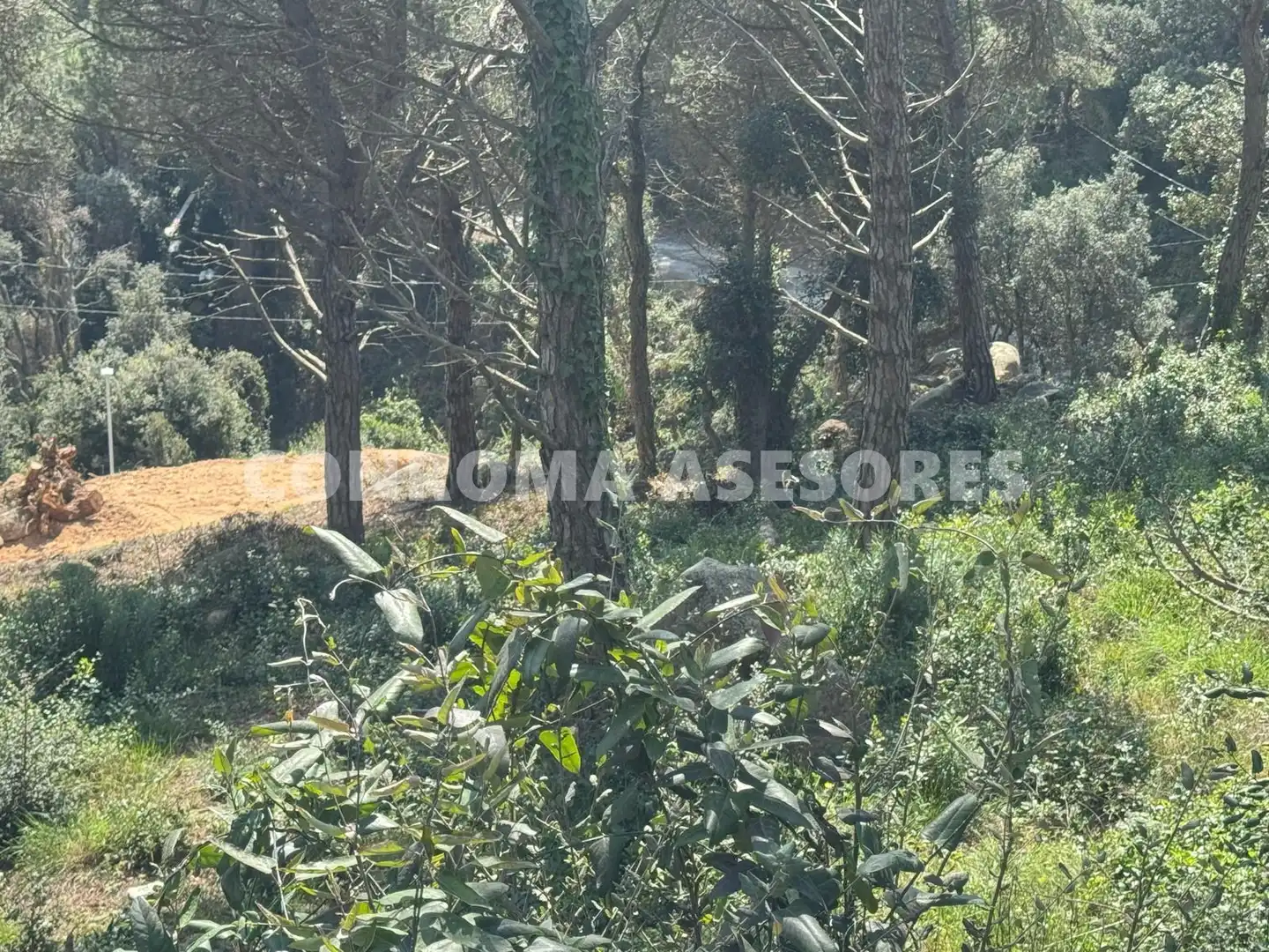 Residential land for sale in Serra Brava, imagen 4