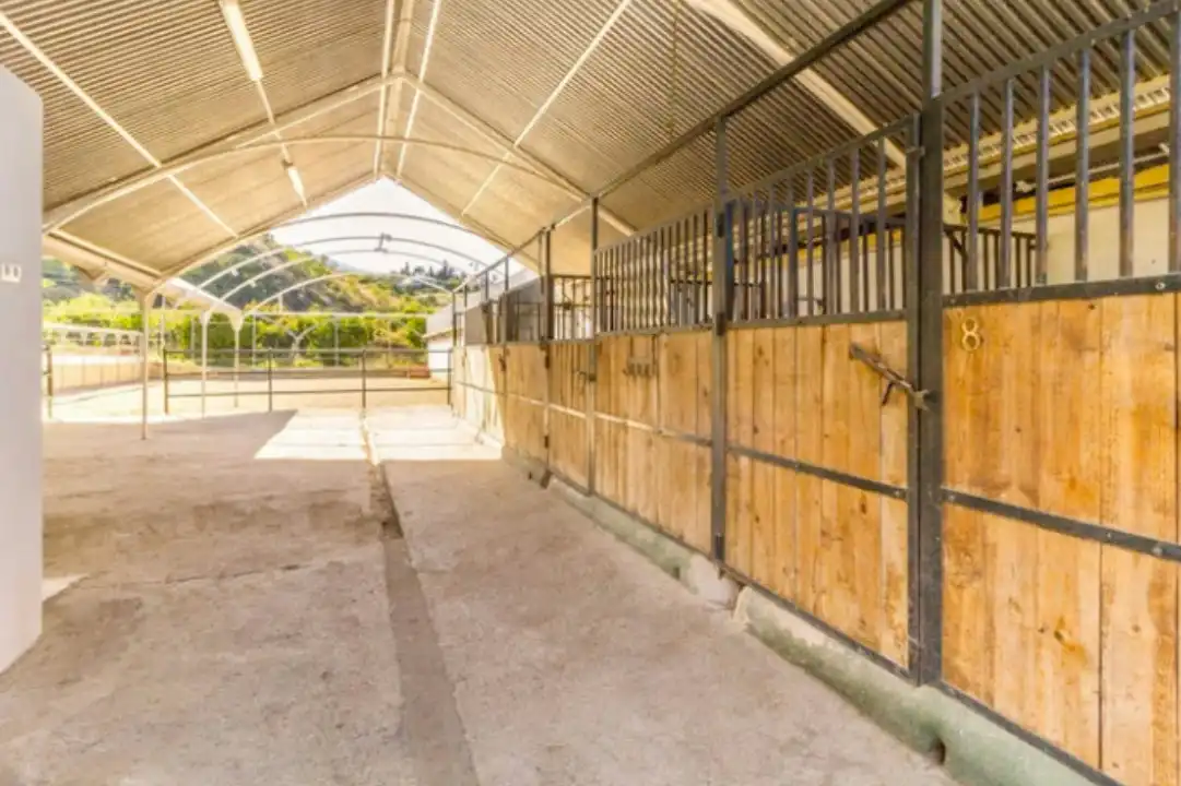 Terreno en venta en Centro Histórico