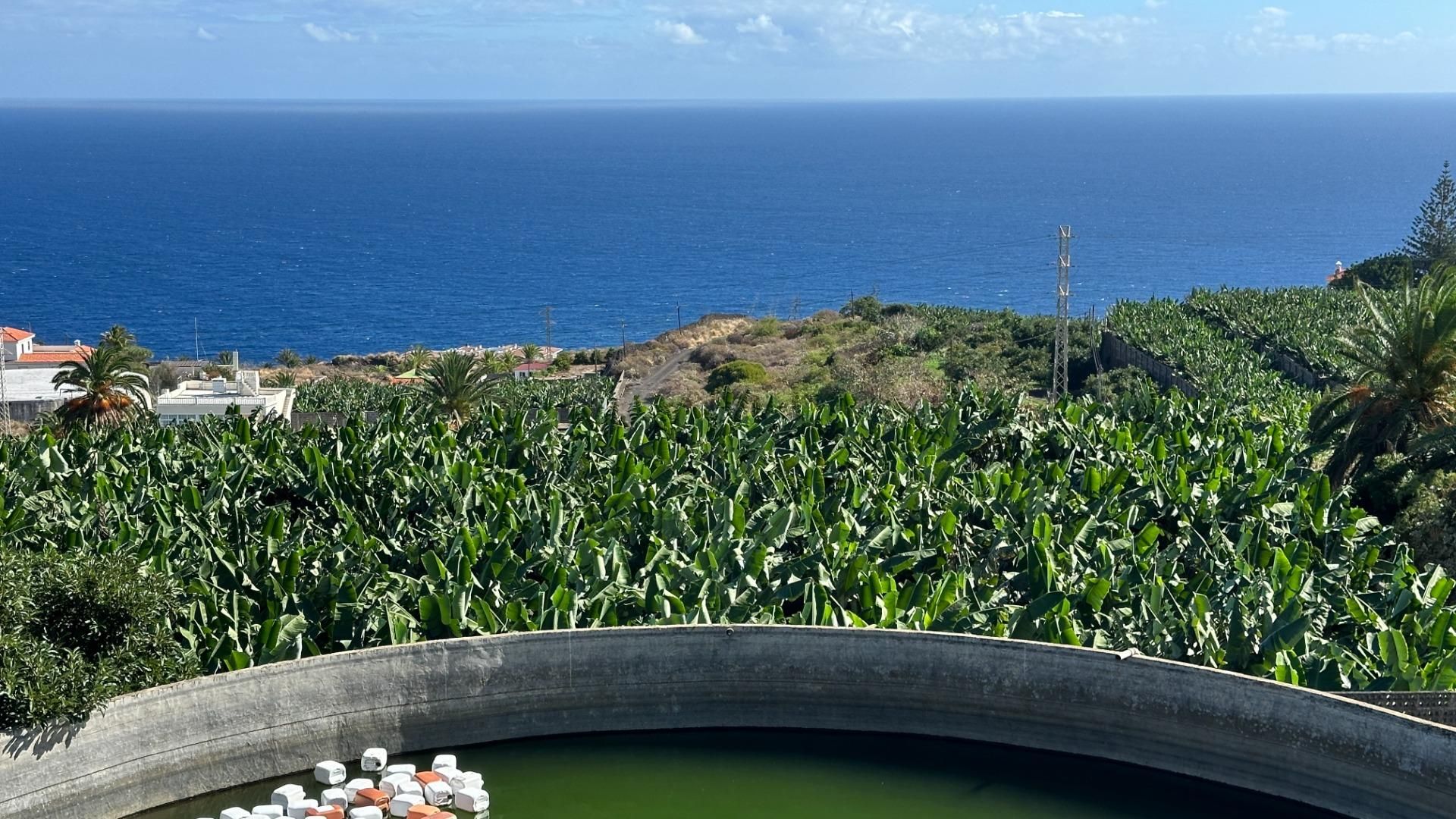 Vista exterior de Residencial en venta en Breña Baja