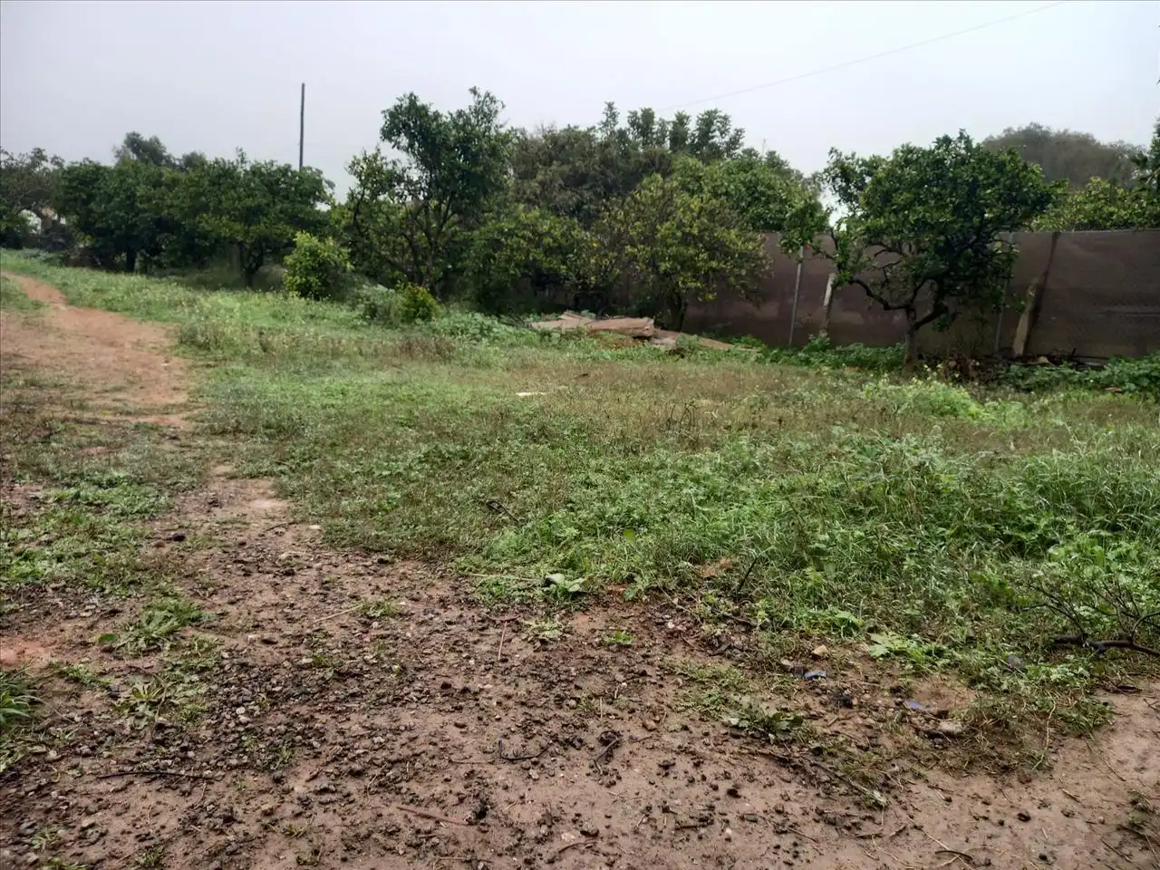 Residential land for sale in Lope De Vega Entrecaminos, imagen 5