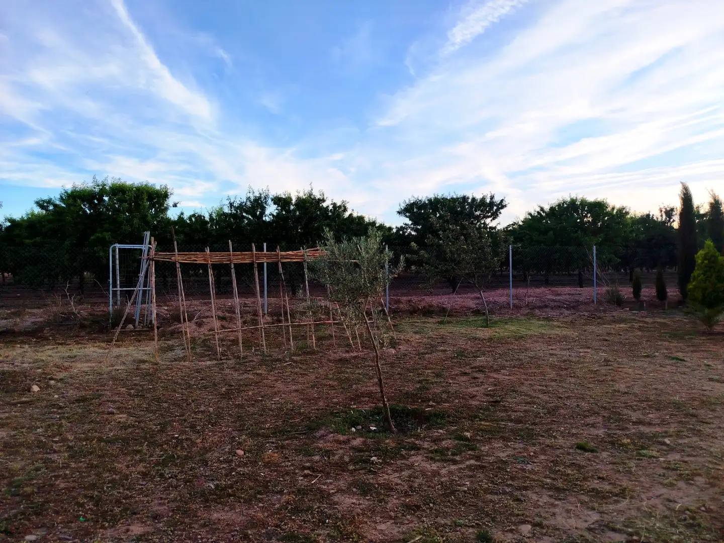Land for sale in Tudela