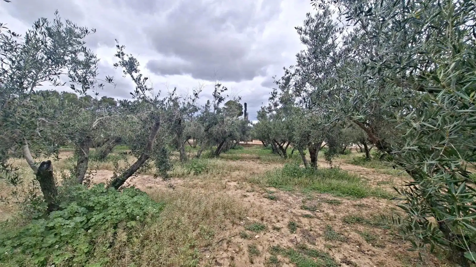 Wohnbaugrundstück zum Verkauf in CABO PALOS-RB ROLLET, imagen 11