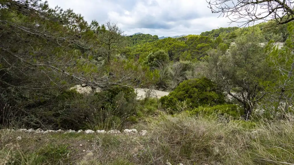 Rural land for sale in Puigpunyent, imagen 14