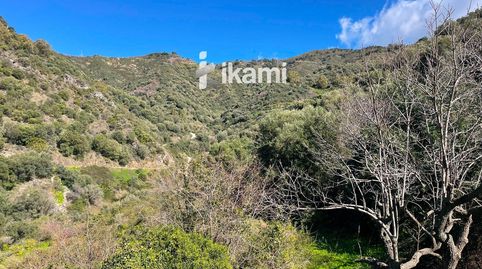 Foto 5 de Casa o xalet en venda a Cerrillares, Ojén pueblo, Ojén