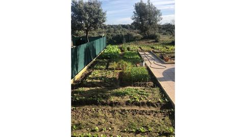 Foto 2 de Casa o xalet de lloguer a Avenida Marco Antonio, Buenavista, Salamanca